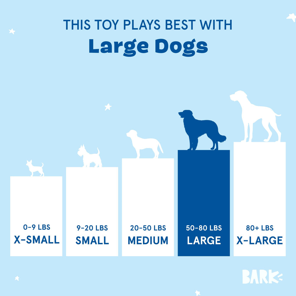 BarkBox jouet utilisé par chien pendant rapport pour activité physique