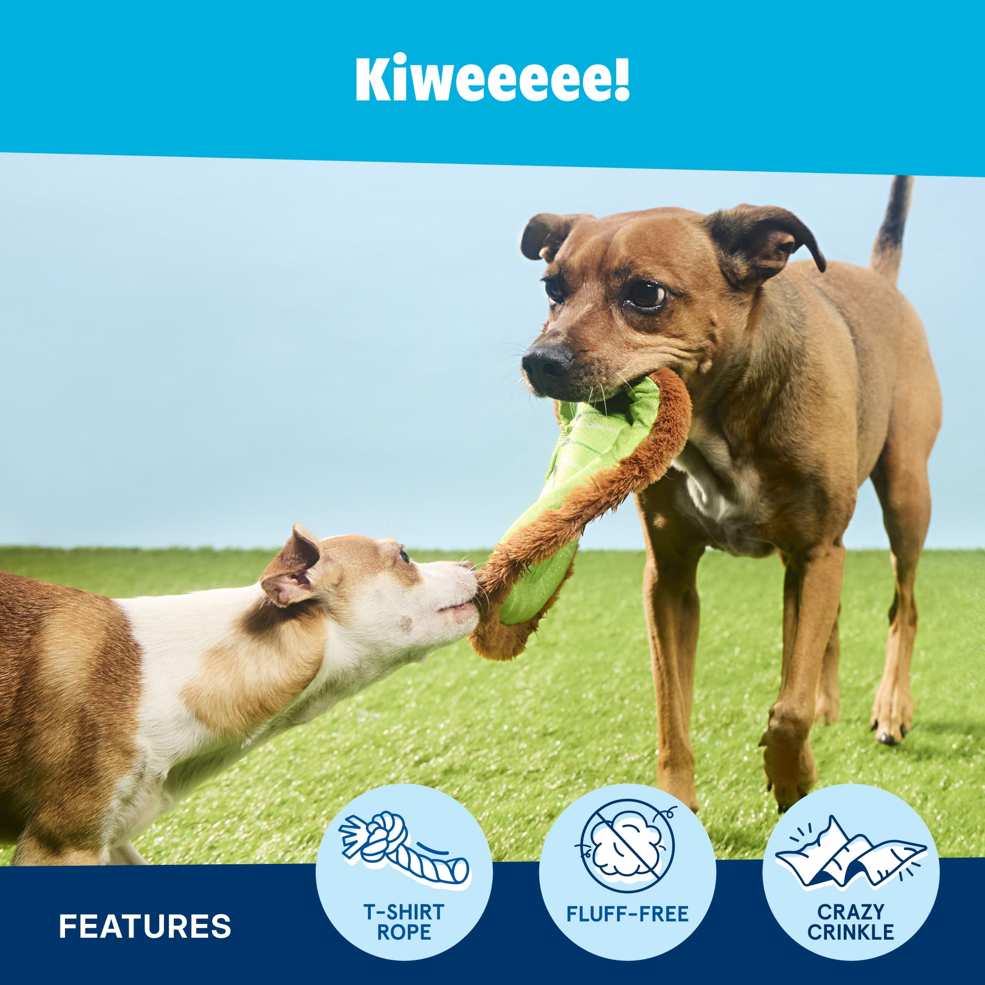 BarkBox Kiweeeee détail du bord en corde facilitant la prise