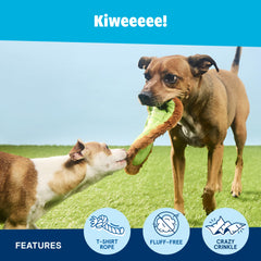 BarkBox Kiweeeee détail du bord en corde facilitant la prise
