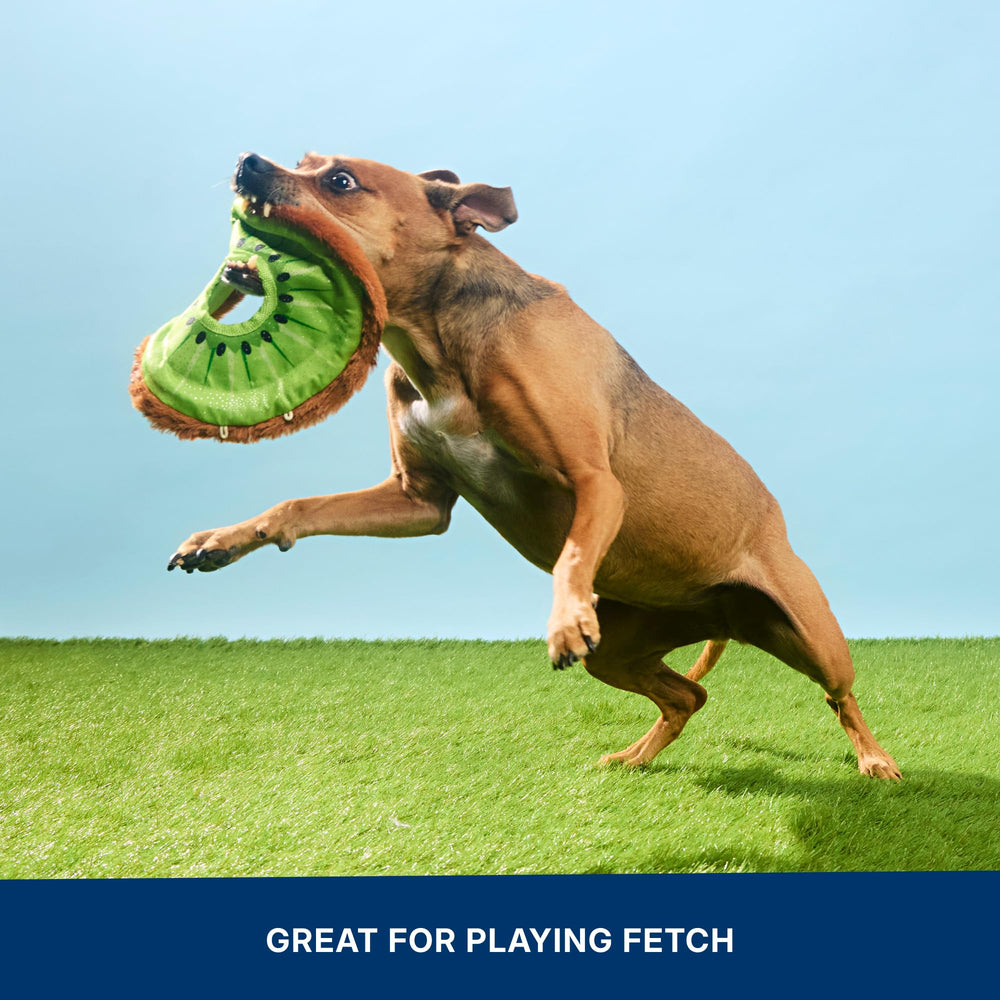 BarkBox Kiweeeee à côté d’une balle pour comparaison de taille