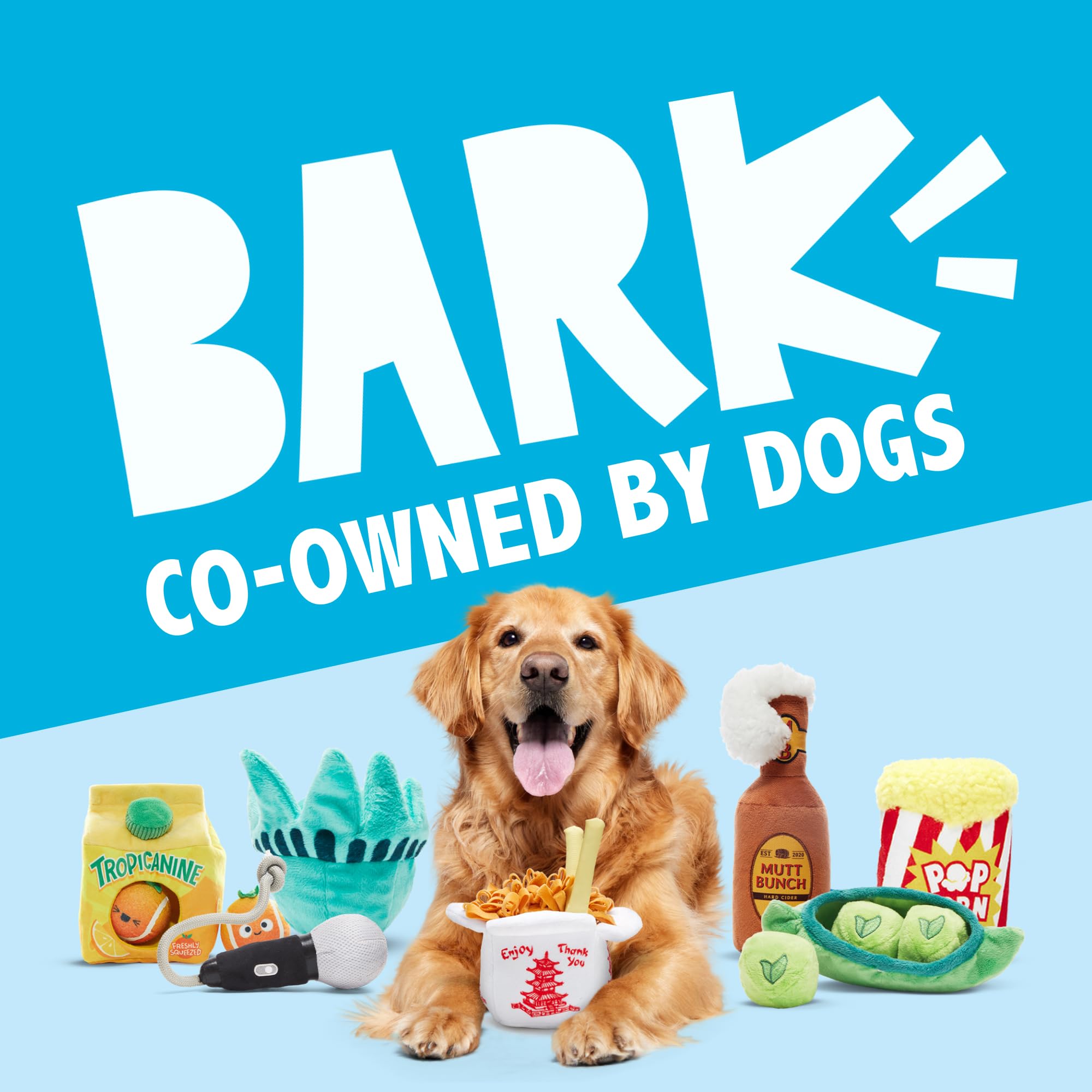 BarkBox Kiweeeee posé sur la plage prêt pour jeu et sorties