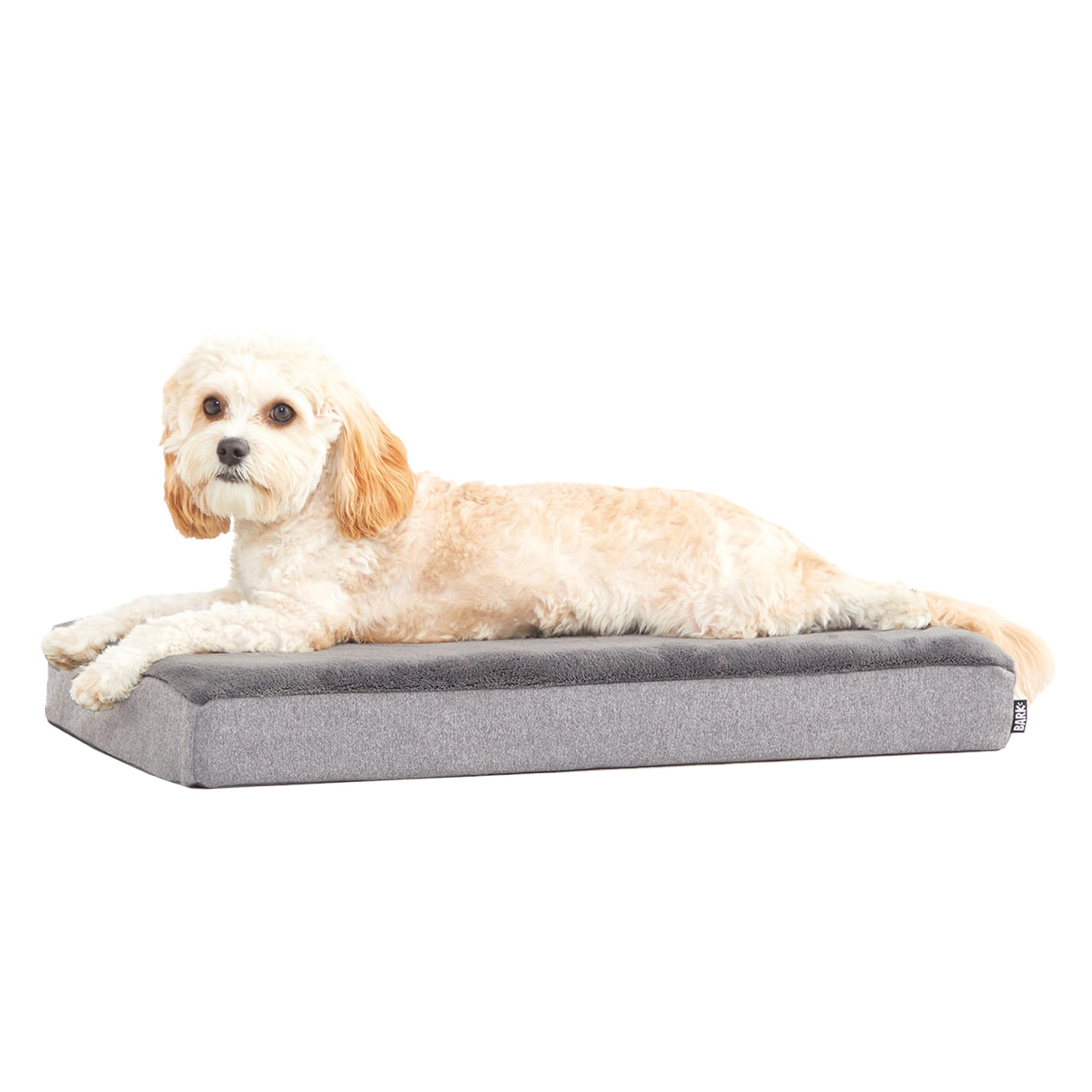 BarkBox face avant du lit montrant forme et bordure, confort immédiat