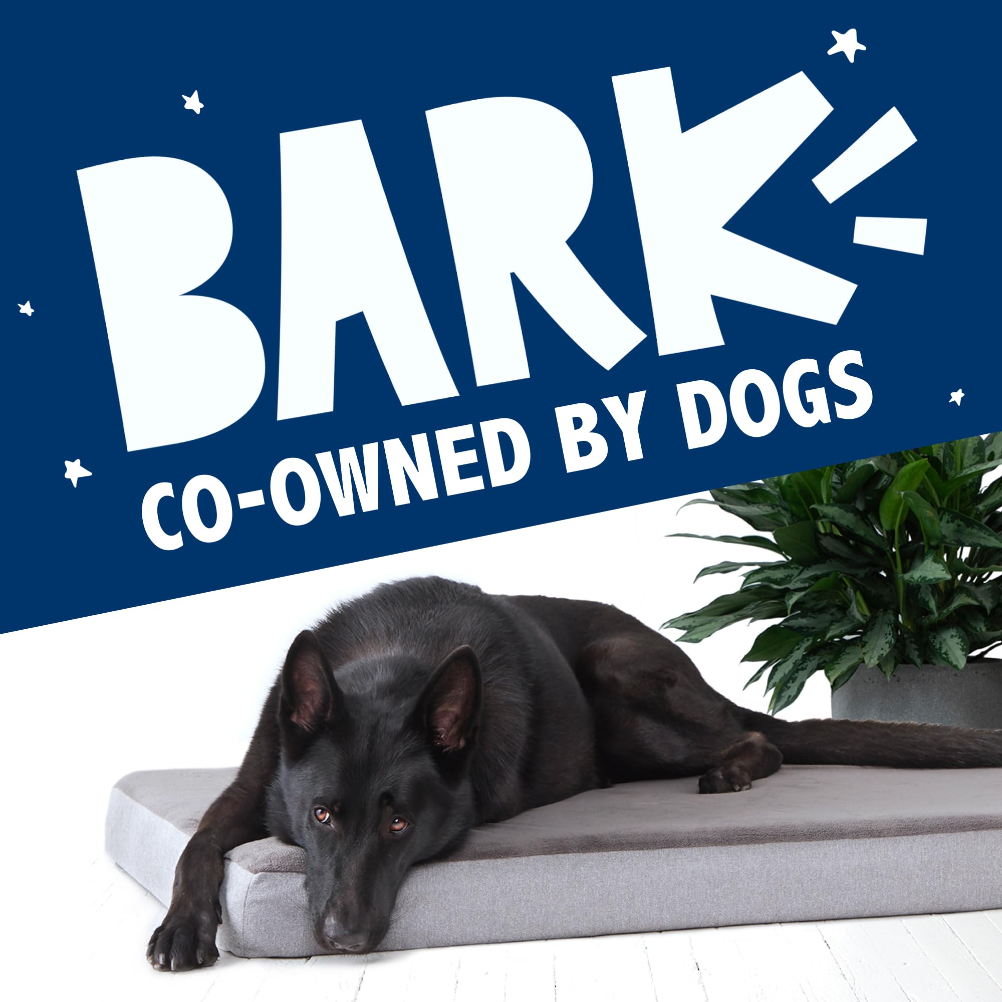 BarkBox texture du tissu montrant surface douce et résistante