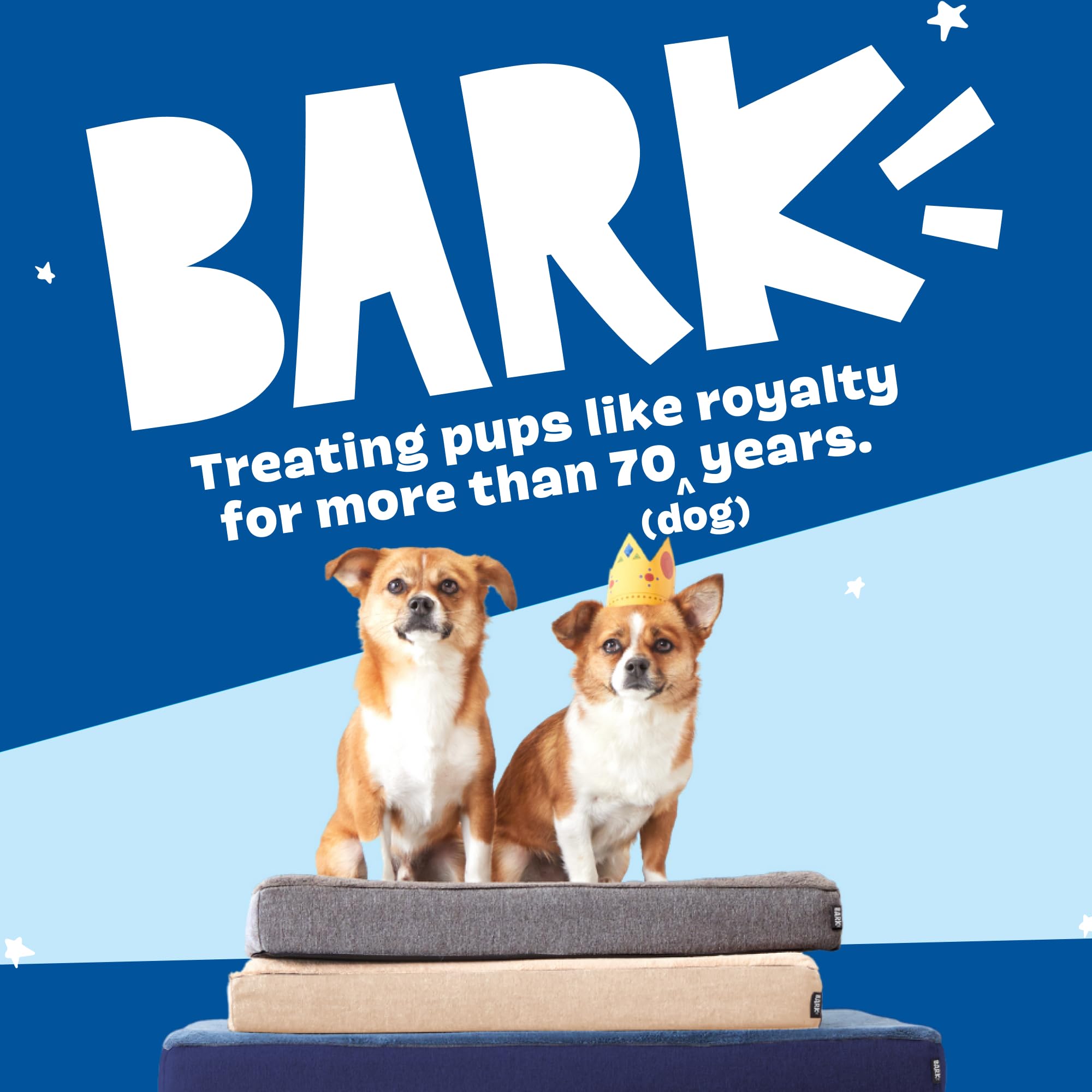 BarkBox comparaison d'échelle montrant dimensions 35x22x3 pouces