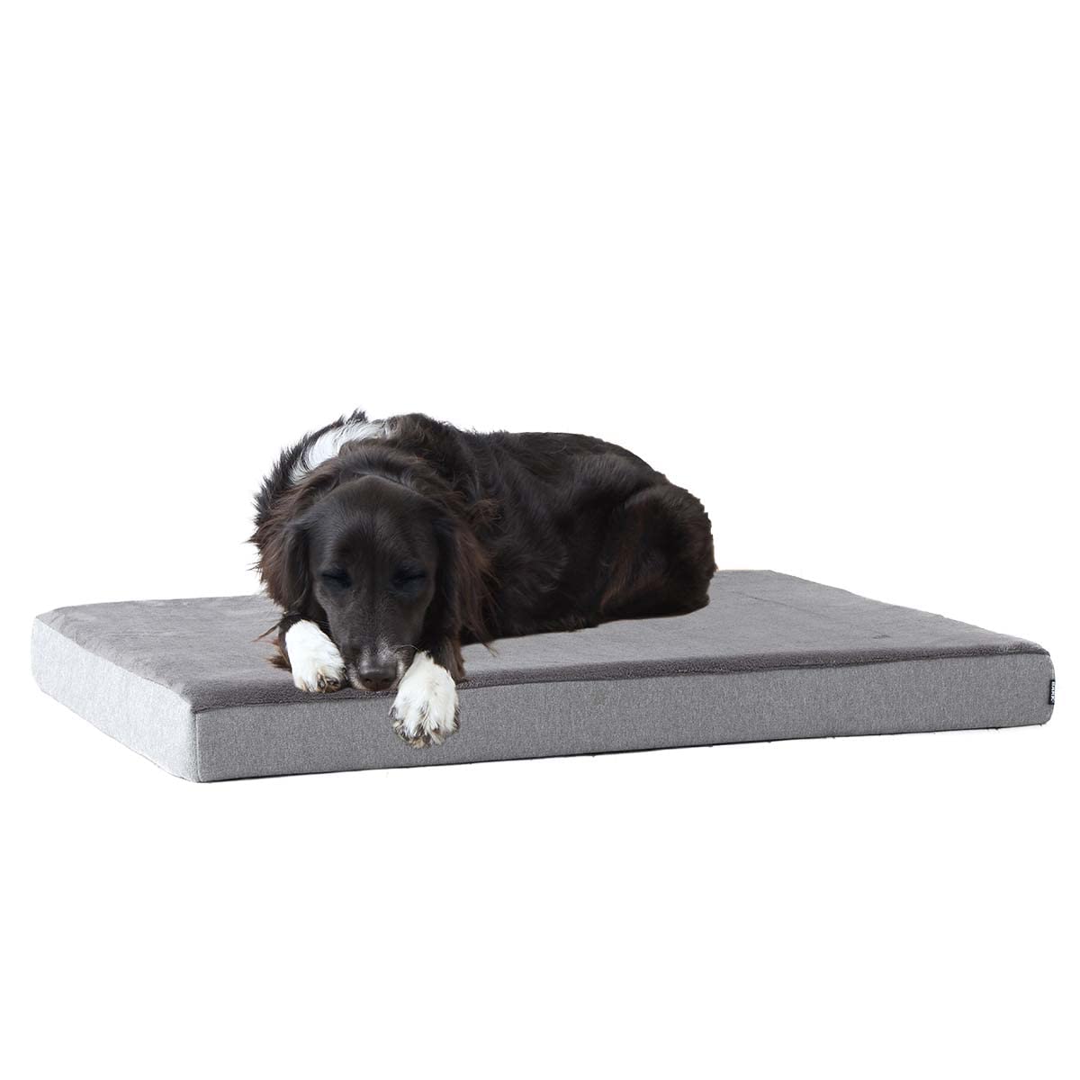 BarkBox lit orthopédique large face montrant design et confort