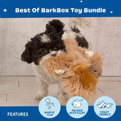 BarkBox Ollie balle à picots visible pour fetch et réactivation du jouet