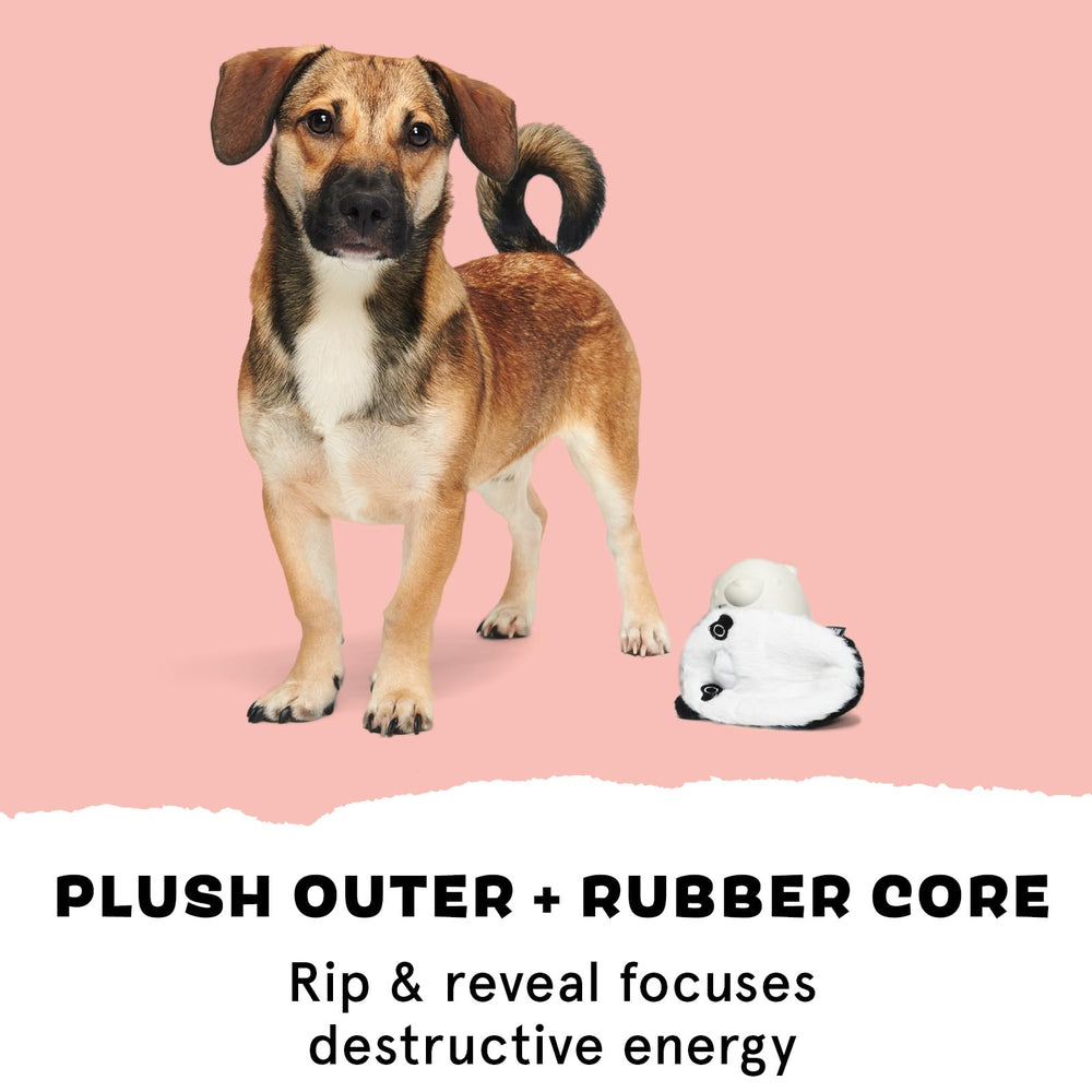 BarkBox chien tenant le panda montrant stimulation et plaisir