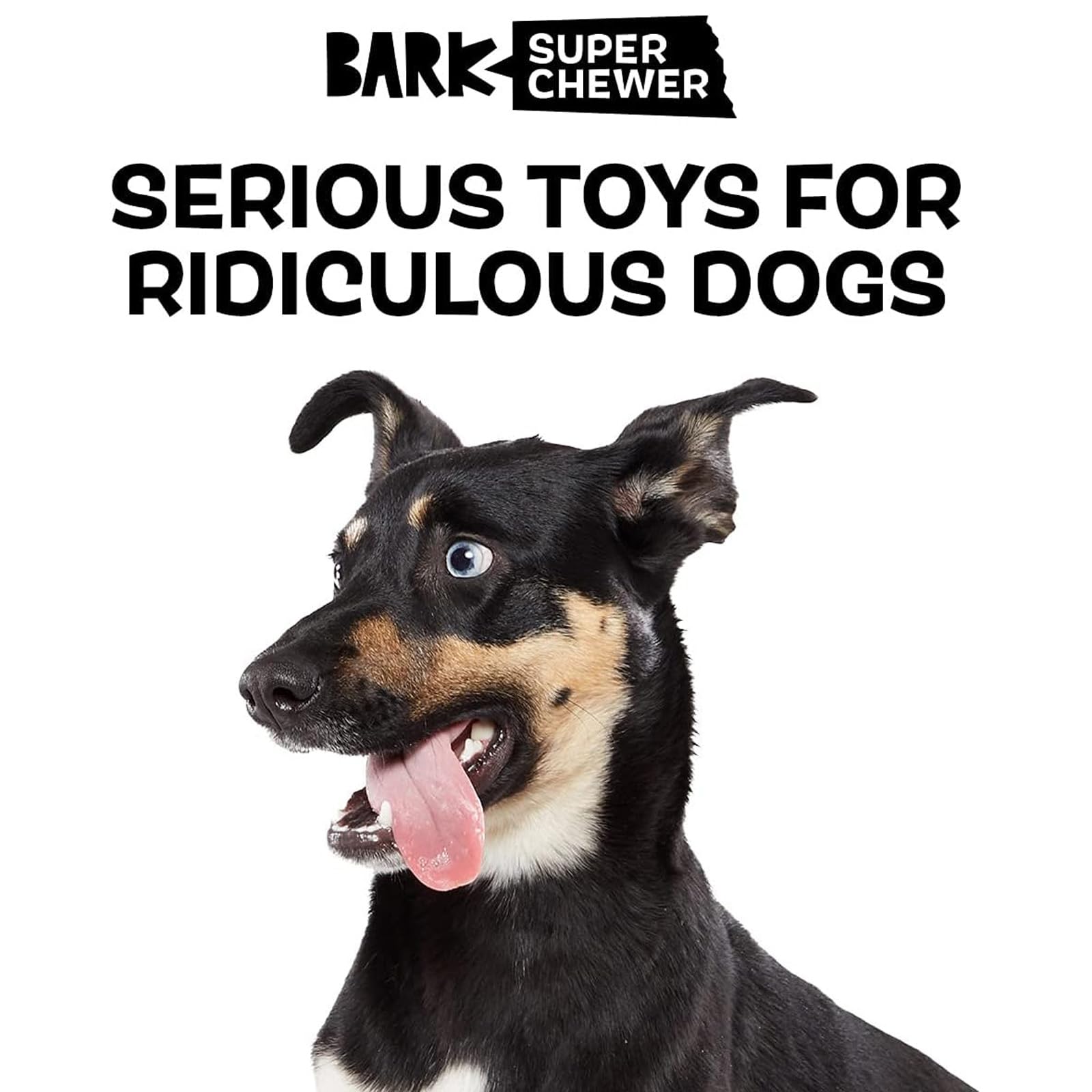 BarkBox jeu de traction extérieur montrant durabilité en plein air