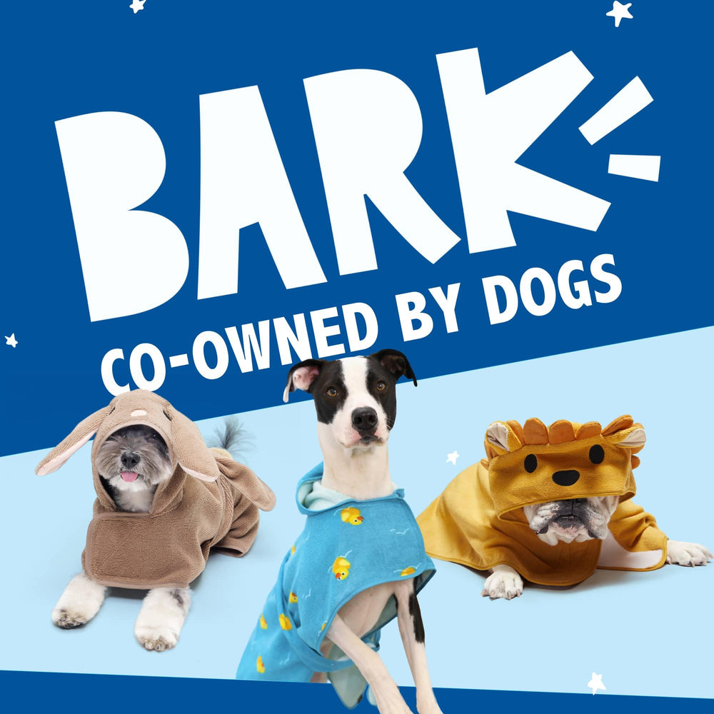 BarkBox style de vie intérieur après bain, protège meubles et sols