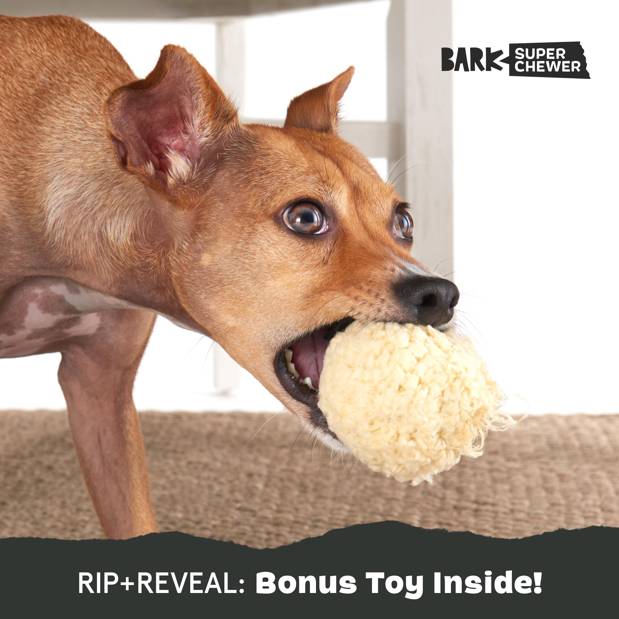 BarkBox potato empreinte Paw + Jaw offrant prise facile au chien
