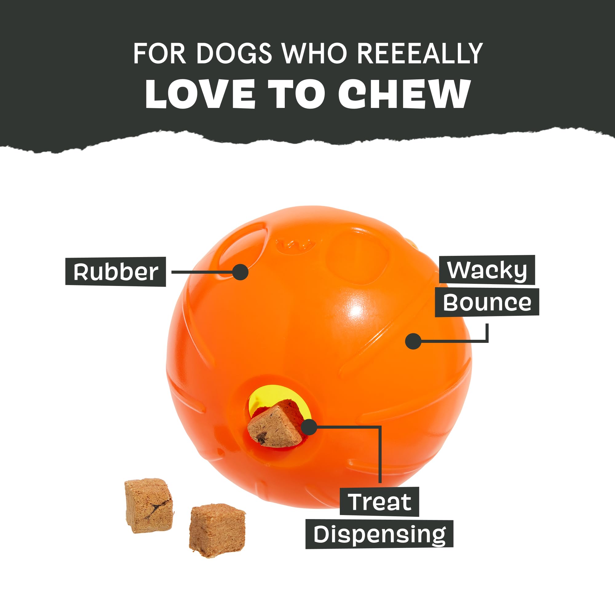 BarkBox chiot jouant avec le Pumpkin Prodigy pour exercice et distraction