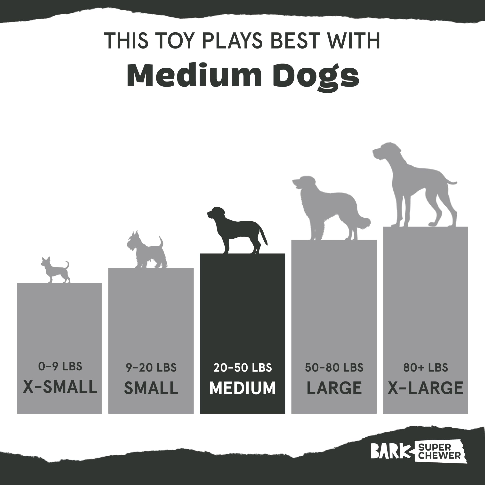 BarkBox comparaison de taille du Pumpkin Prodigy pour choix adapté au chien