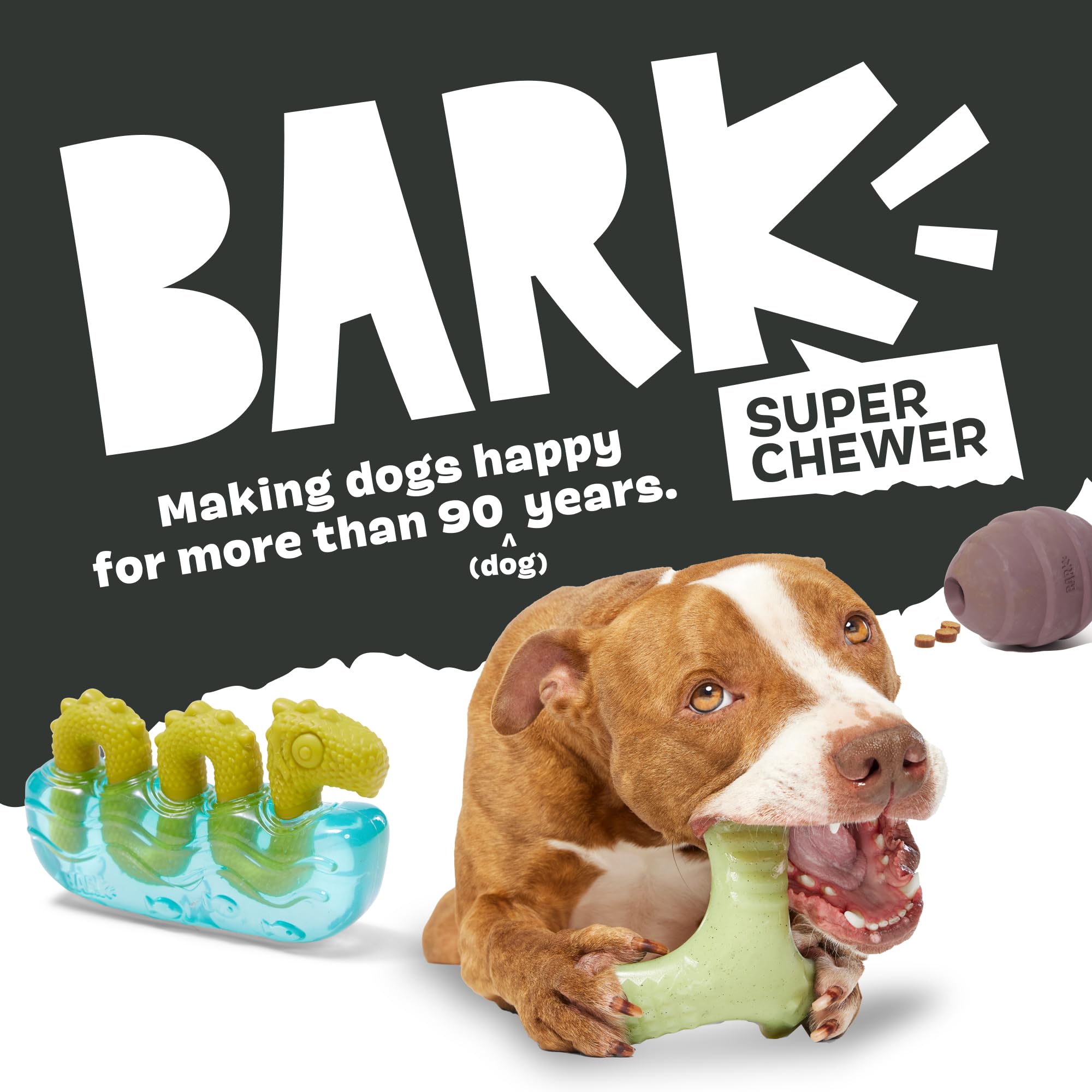 BarkBox scène de parc montrant le jouet stimulant poursuite et rebond