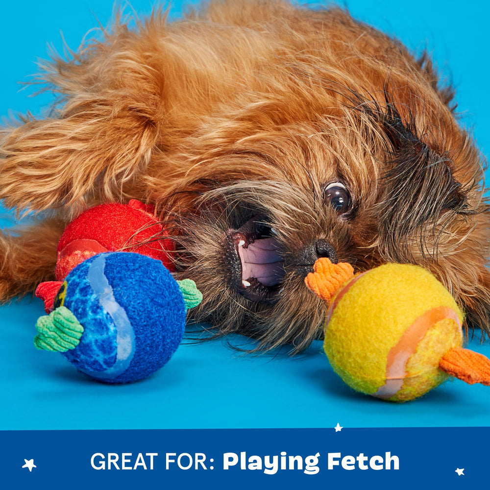BarkBox Puppy Guppies lancé en extérieur stimulant exercice et course