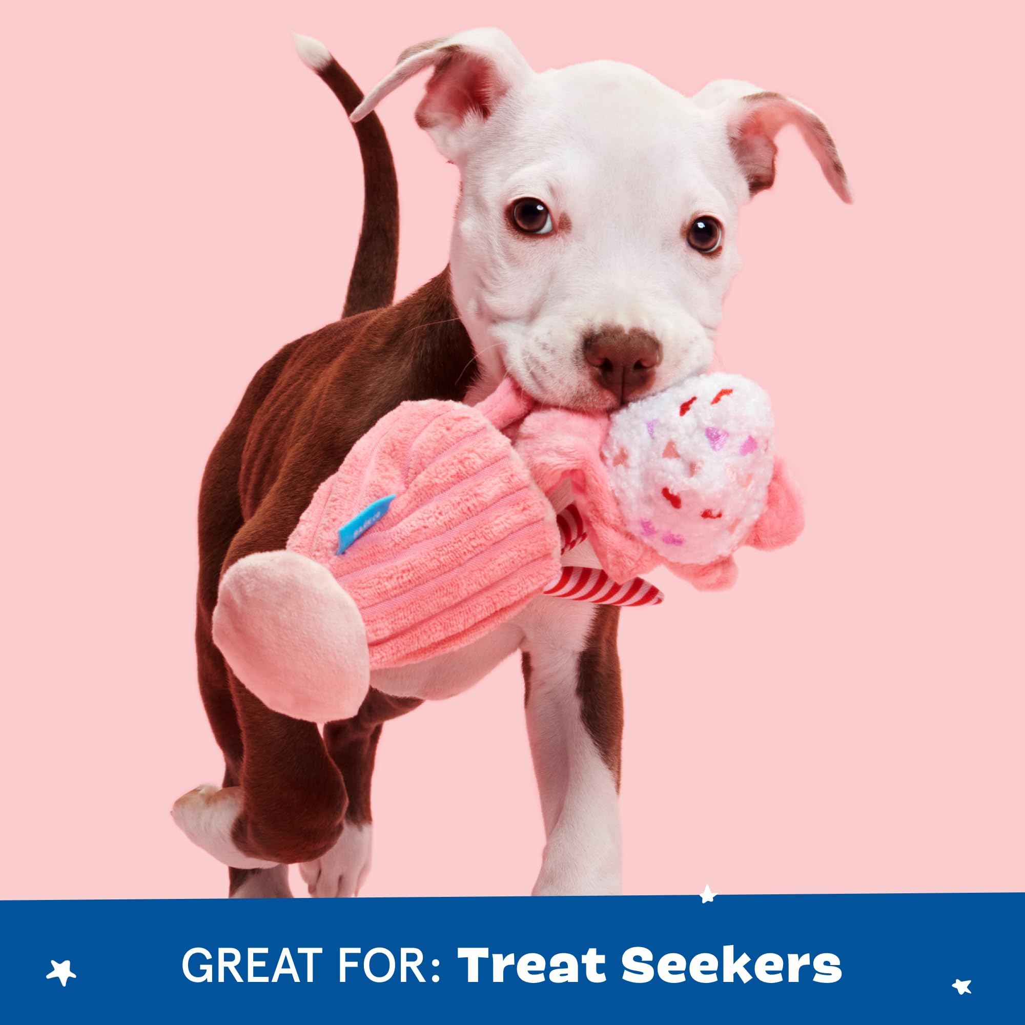BarkBox chiot jouant avec le milkshake, favorise activité et lien
