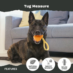 BarkBox chien tirant sur la sangle renforcée pour jeux de traction fiables