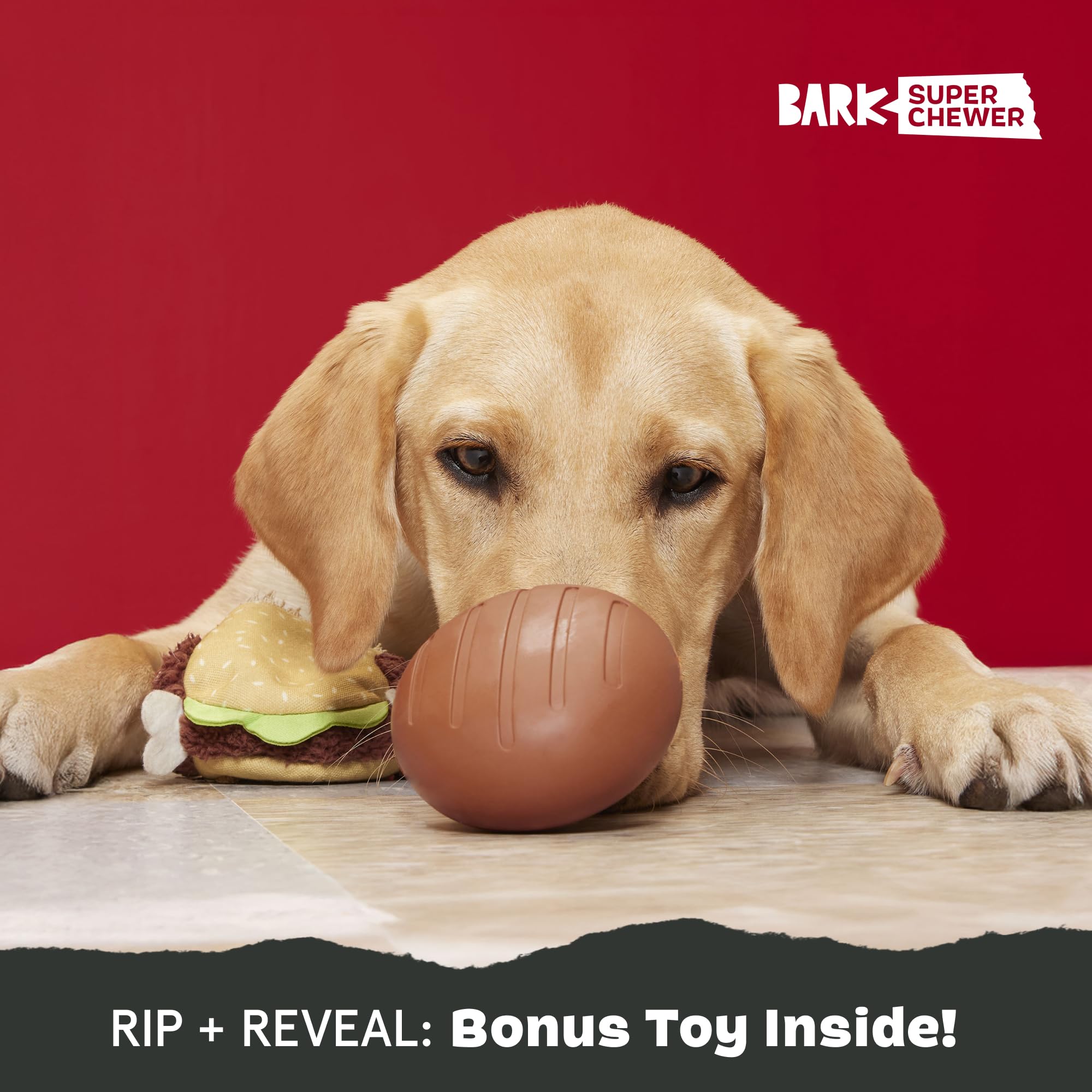 BarkBox grand chien jouant avec le Turkey Barker pour amusement