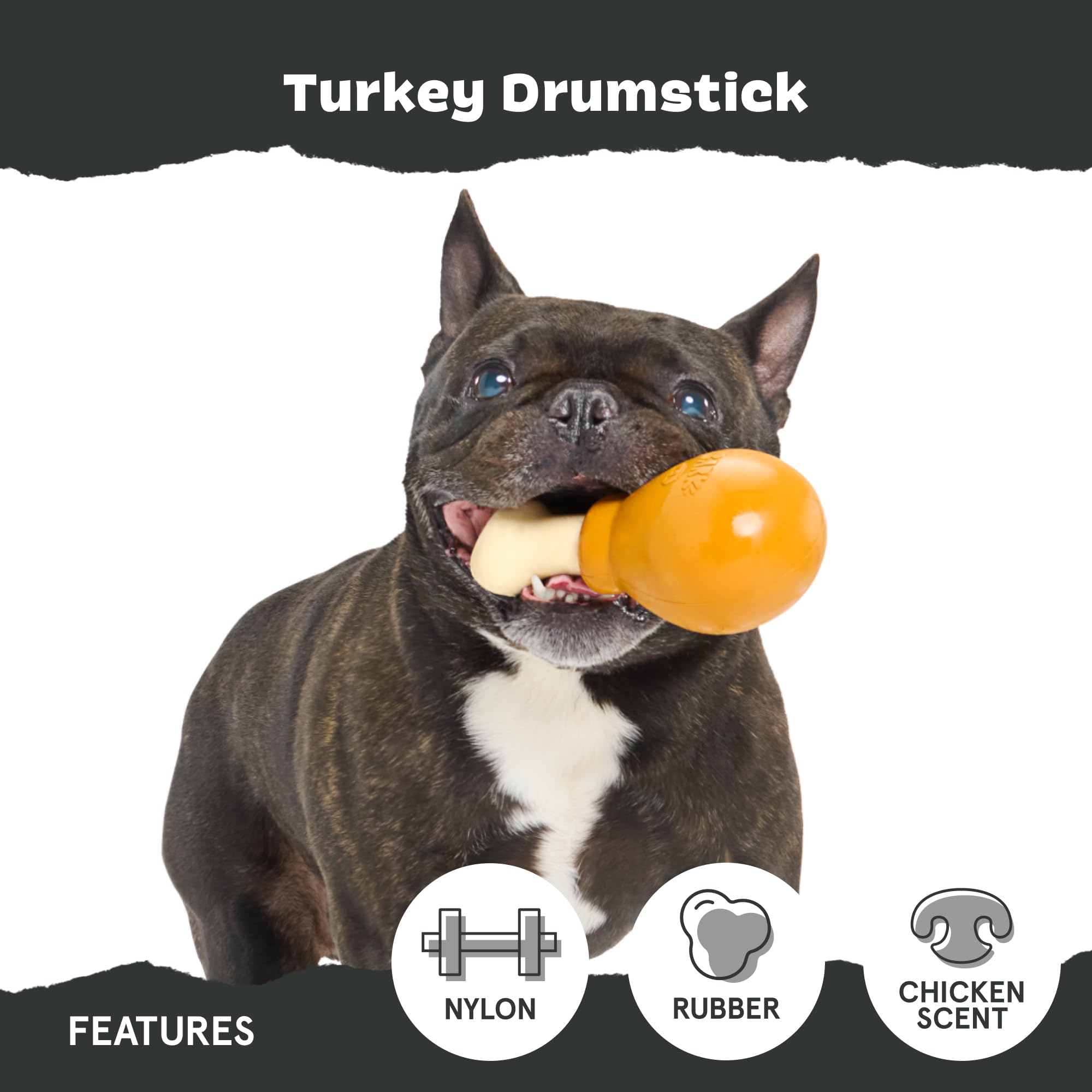 BarkBox chien tenant le jouet Paw+Jaw pour jeu autonome