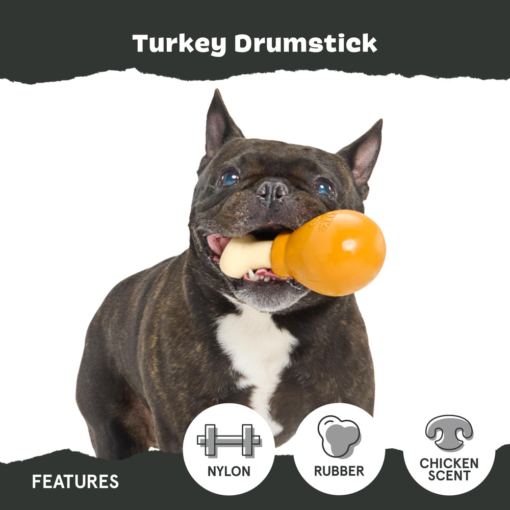 BarkBox chien tenant le jouet Paw+Jaw pour jeu autonome