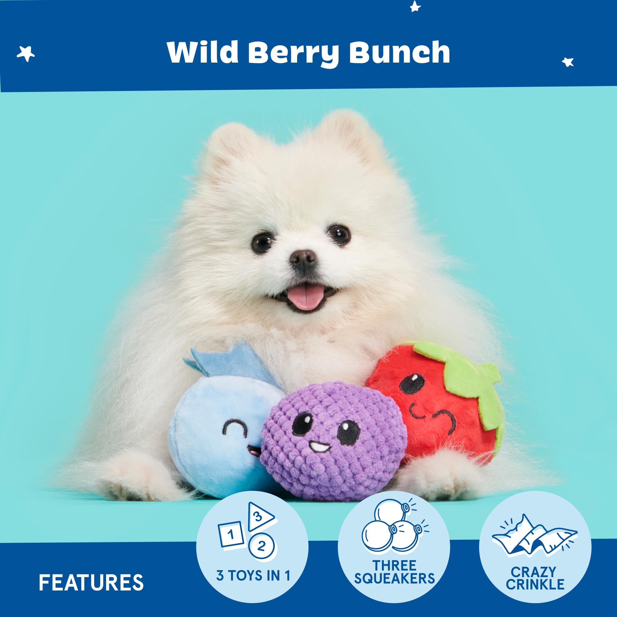 Comparaison de taille BarkBox avec main pour évaluer l’échelle