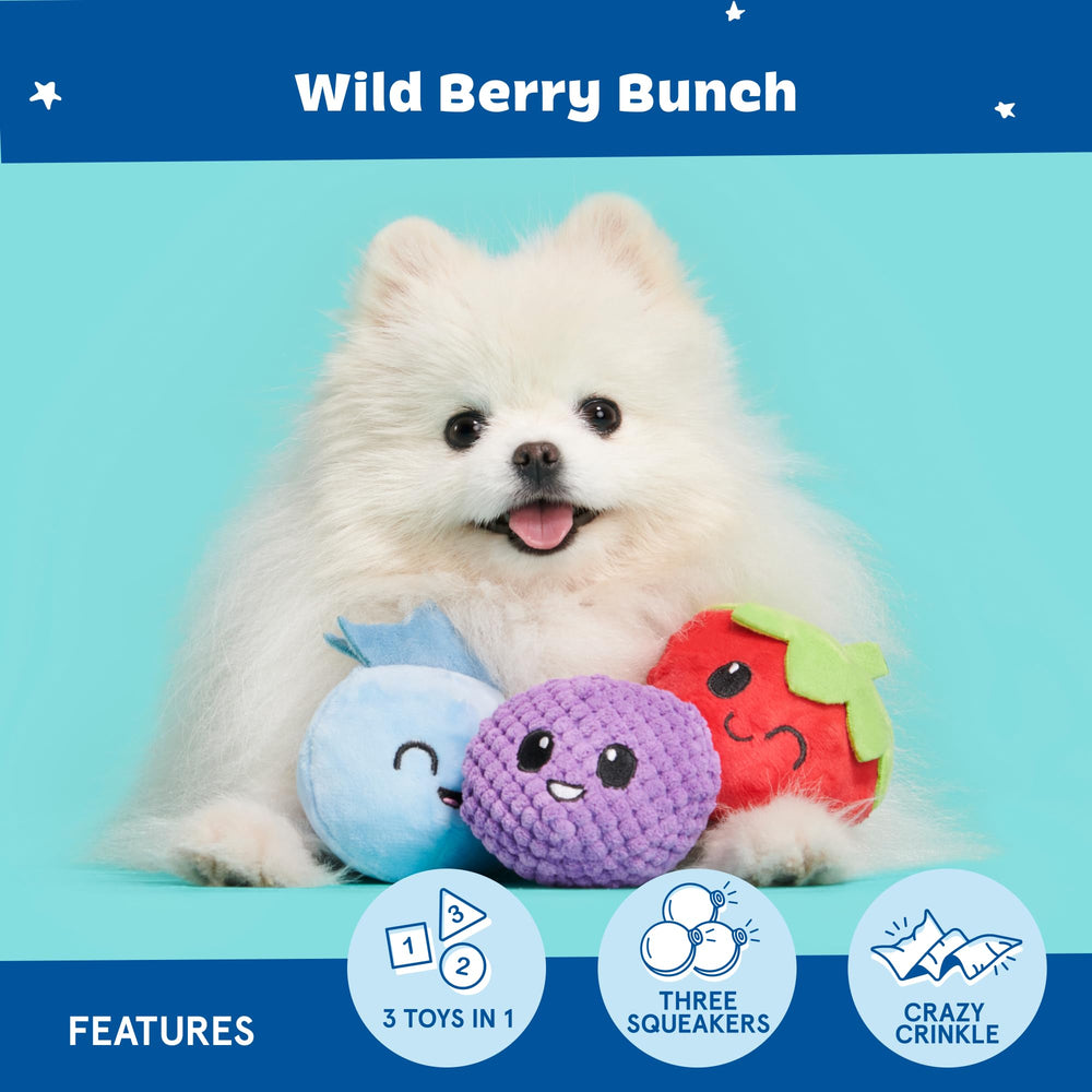 Comparaison de taille BarkBox avec main pour évaluer l’échelle