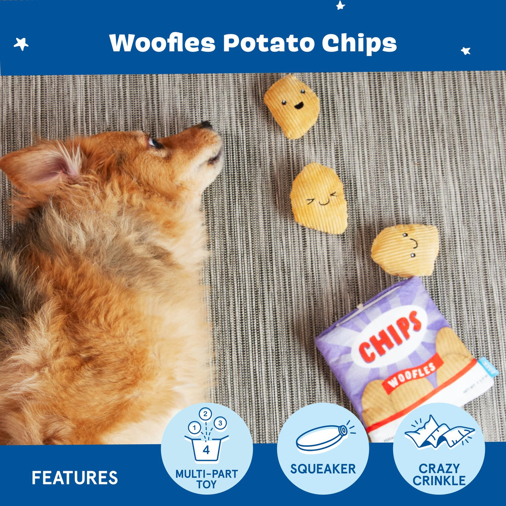 Chien jouant avec BarkBox Woofles pour divertissement interactif