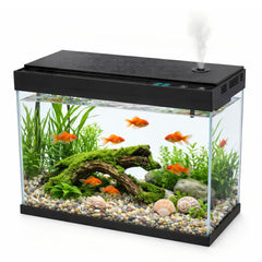 BarkBuddy aquarium face avant montrant design compact et visibilité claire