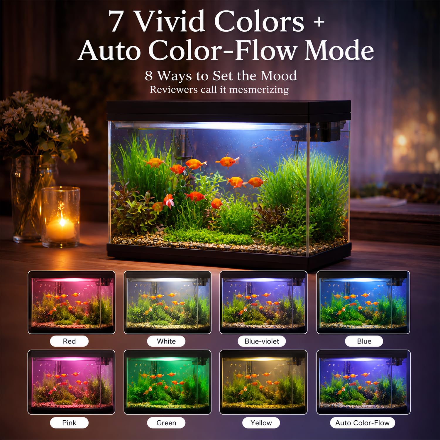BarkBuddy éclairage LED 8 modes mettant en valeur poissons et ambiance