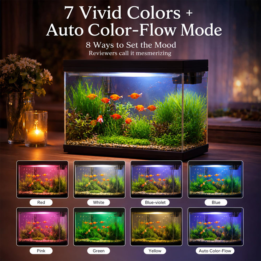 BarkBuddy éclairage LED 8 modes mettant en valeur poissons et ambiance