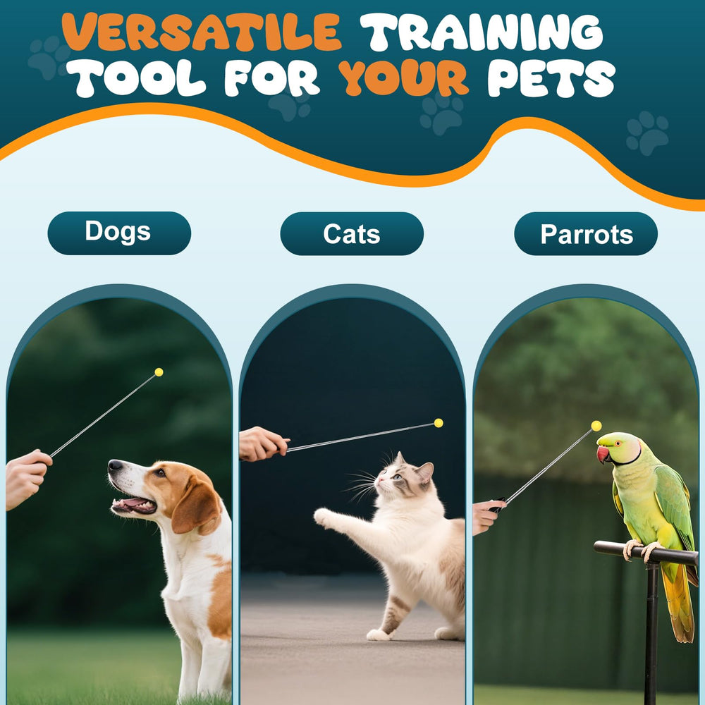 BARKIE ensemble rangé prêt à emporter pour séances d'entraînement