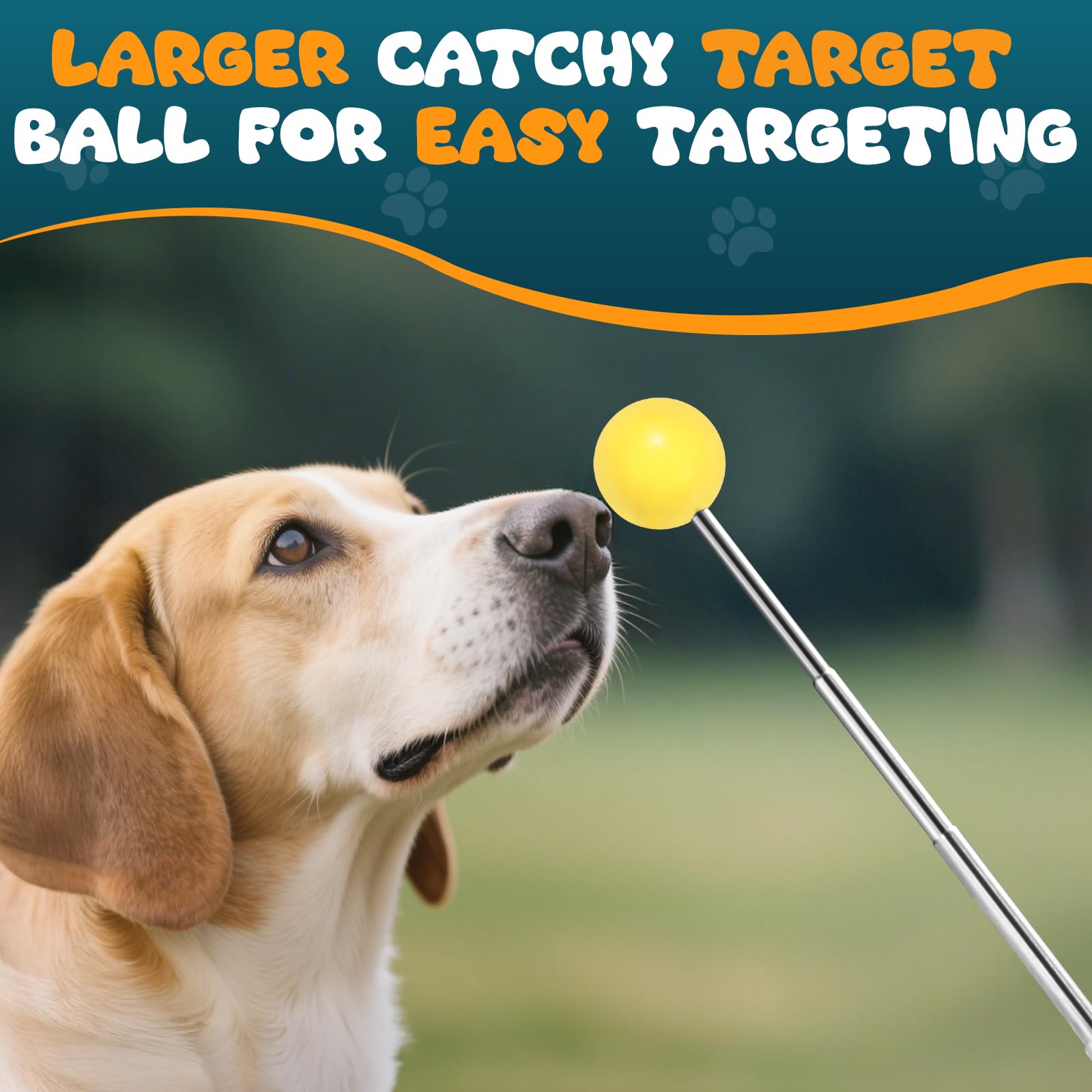 BARKIE tige rétractable étendue pour portée ajustable en séance