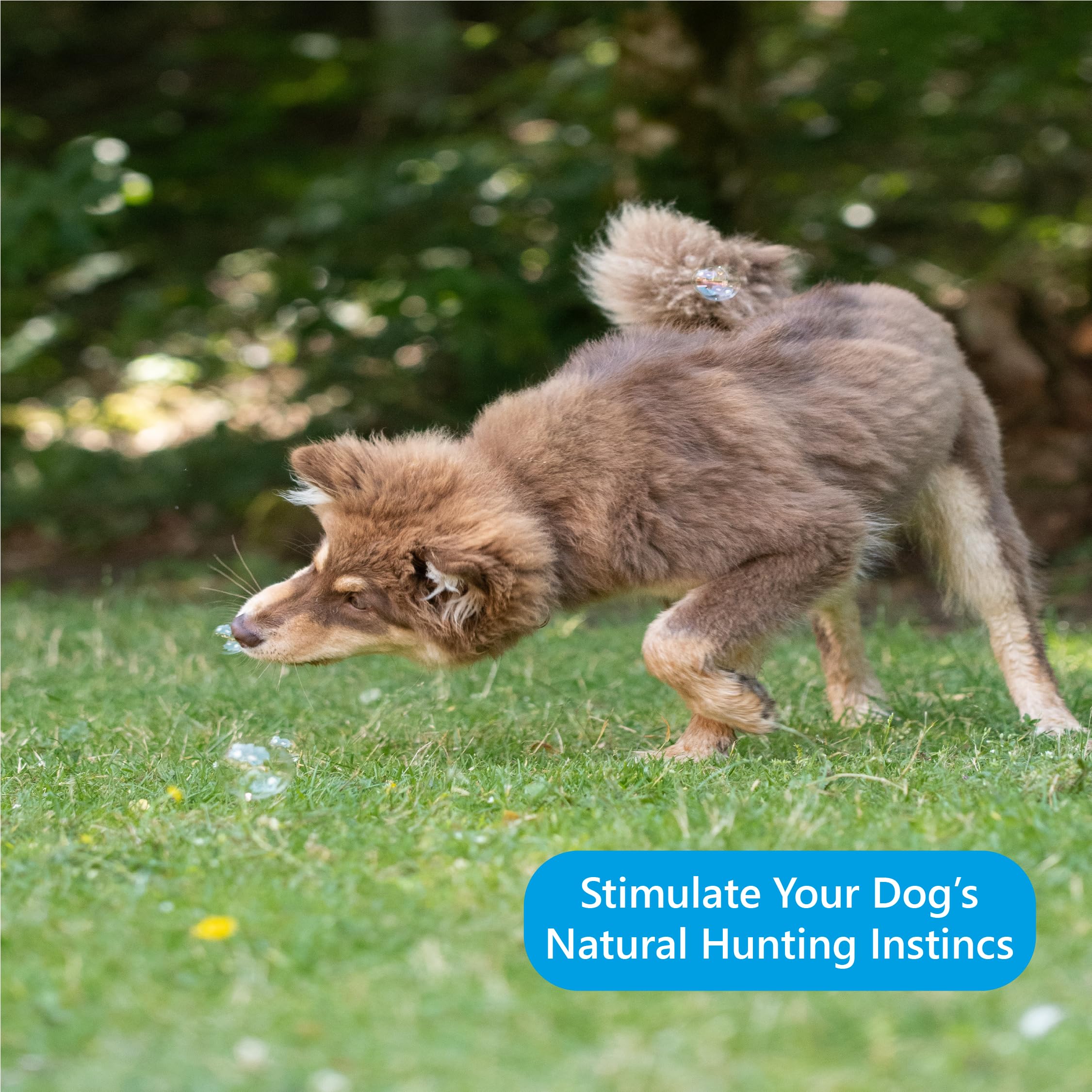 Barkin’ Good Bubbles chien qui saute pour attraper bulles, jeu actif et amusant