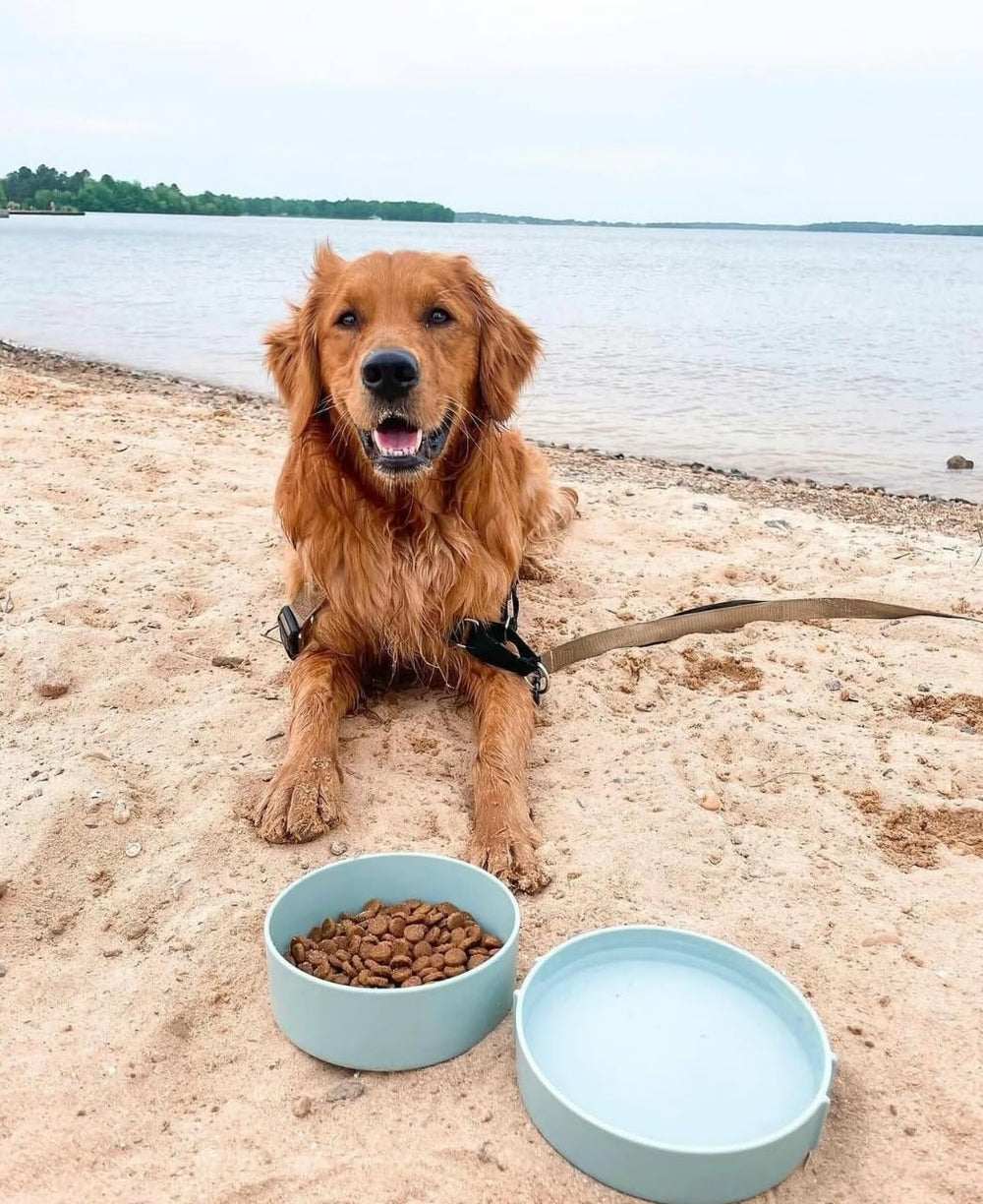 Barkin' Trails gamelles empilées prêtes à ranger, gain de place évident