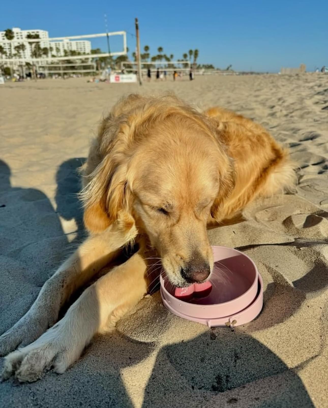 Barkin' Trails gamelles utilisées en randonnée pour hydrater et nourrir le chien