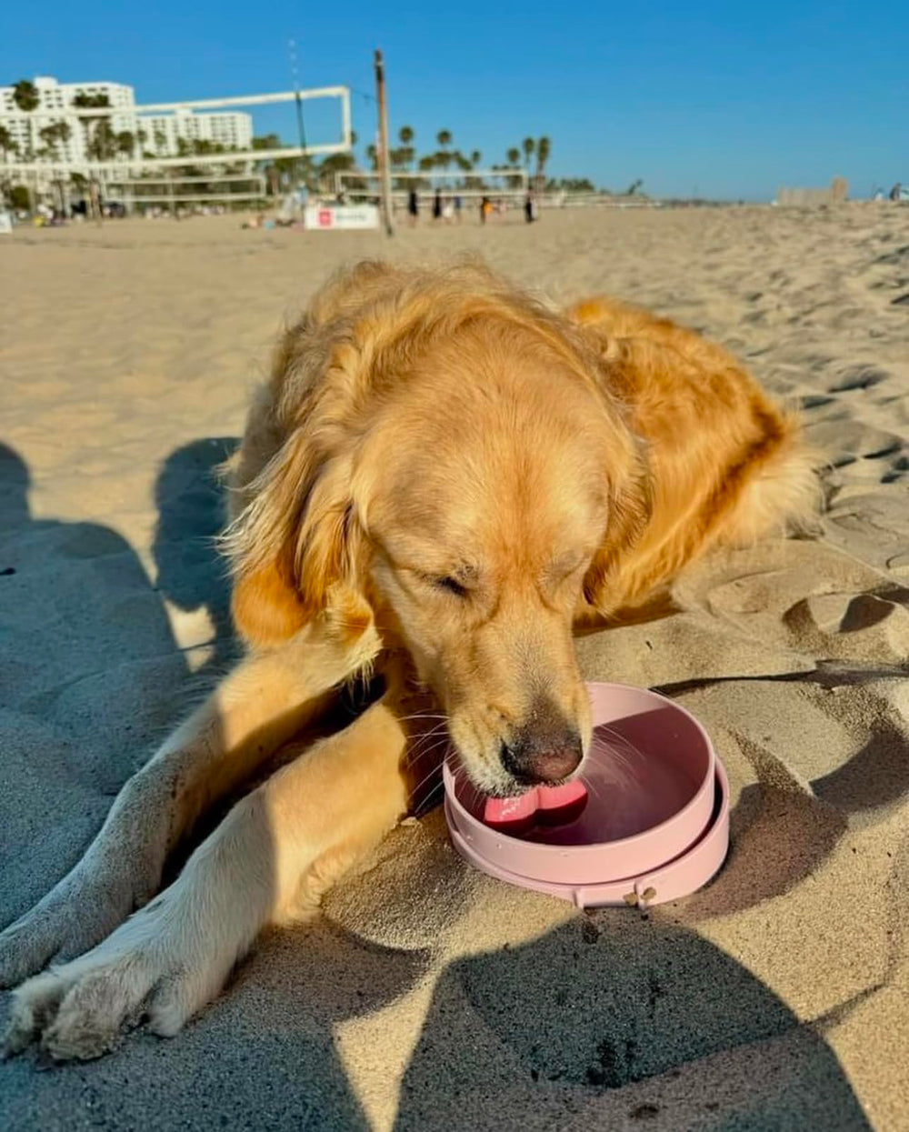 Barkin' Trails gamelles utilisées en randonnée pour hydrater et nourrir le chien