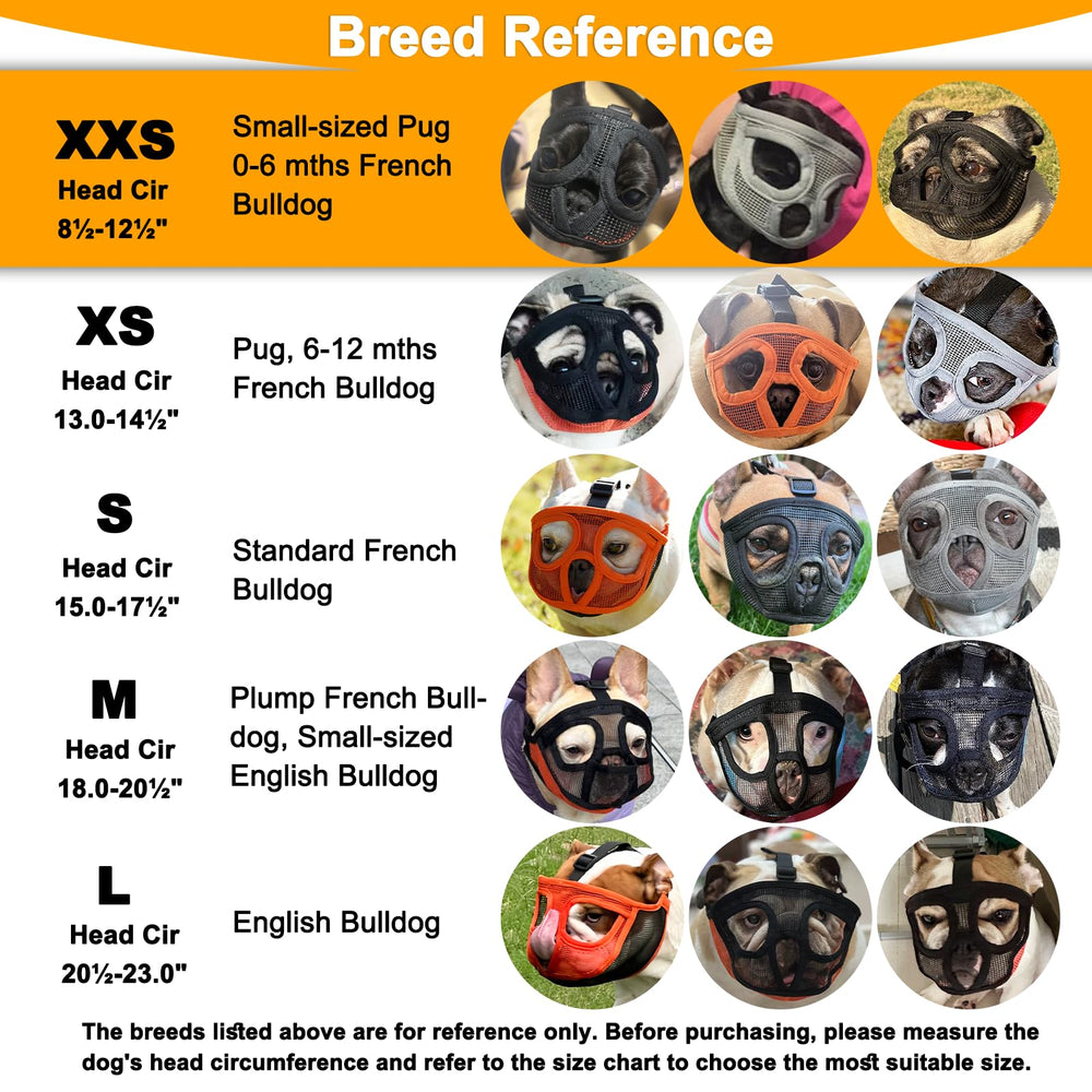 BARKLESS bouledogue portant la muselière confortablement lors d'un essai
