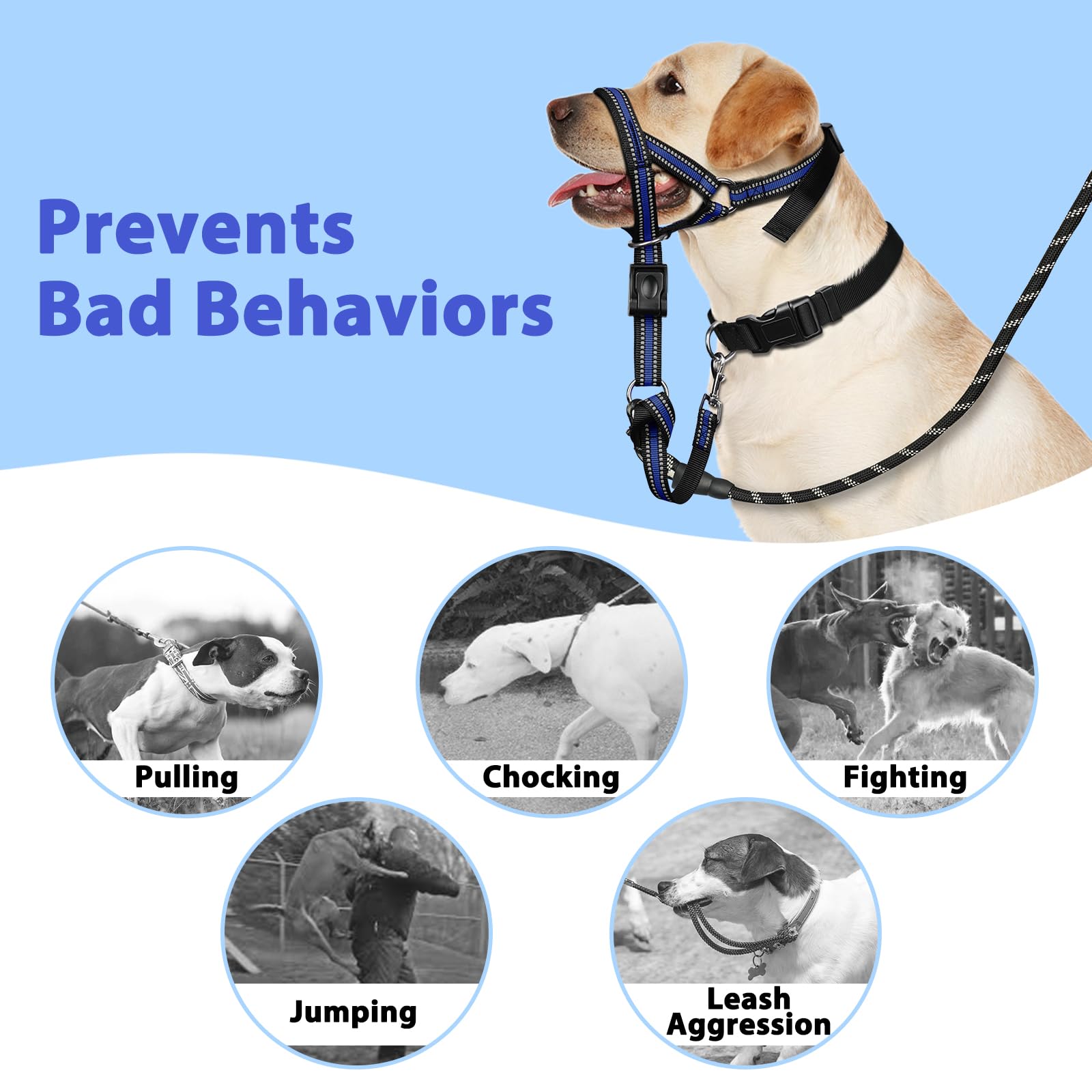 BARKLESS harnais à côté d’un chien pour comparaison de taille, choix précis