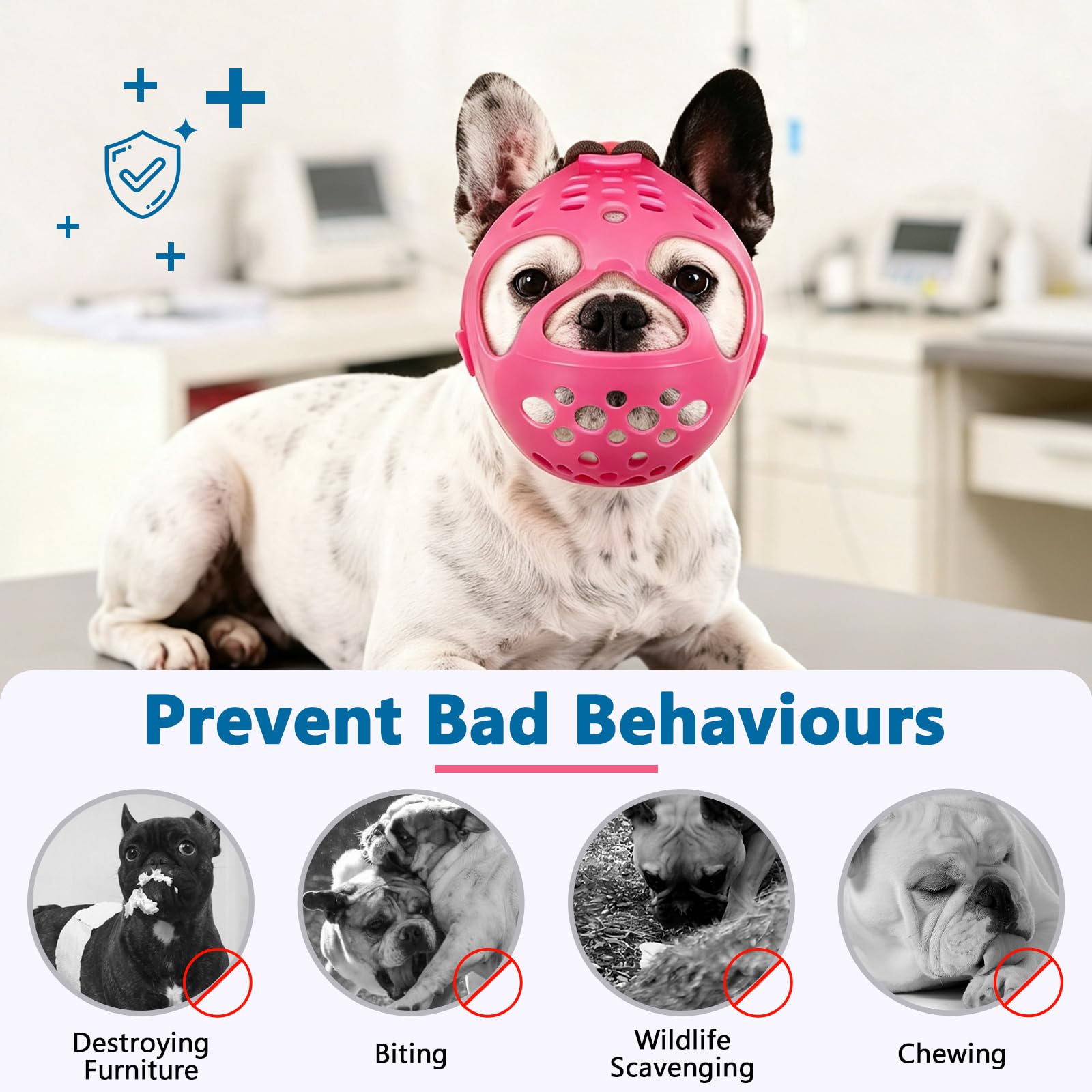 BARKLESS comparaison de taille montrant comment mesurer le tour de tête