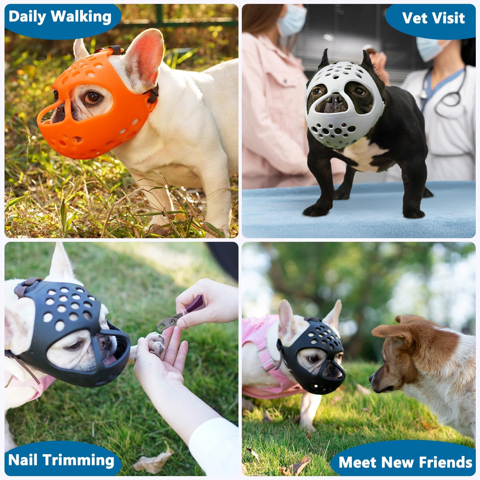 BARKLESS emballage et manuel inclus pour faciliter l’apprentissage