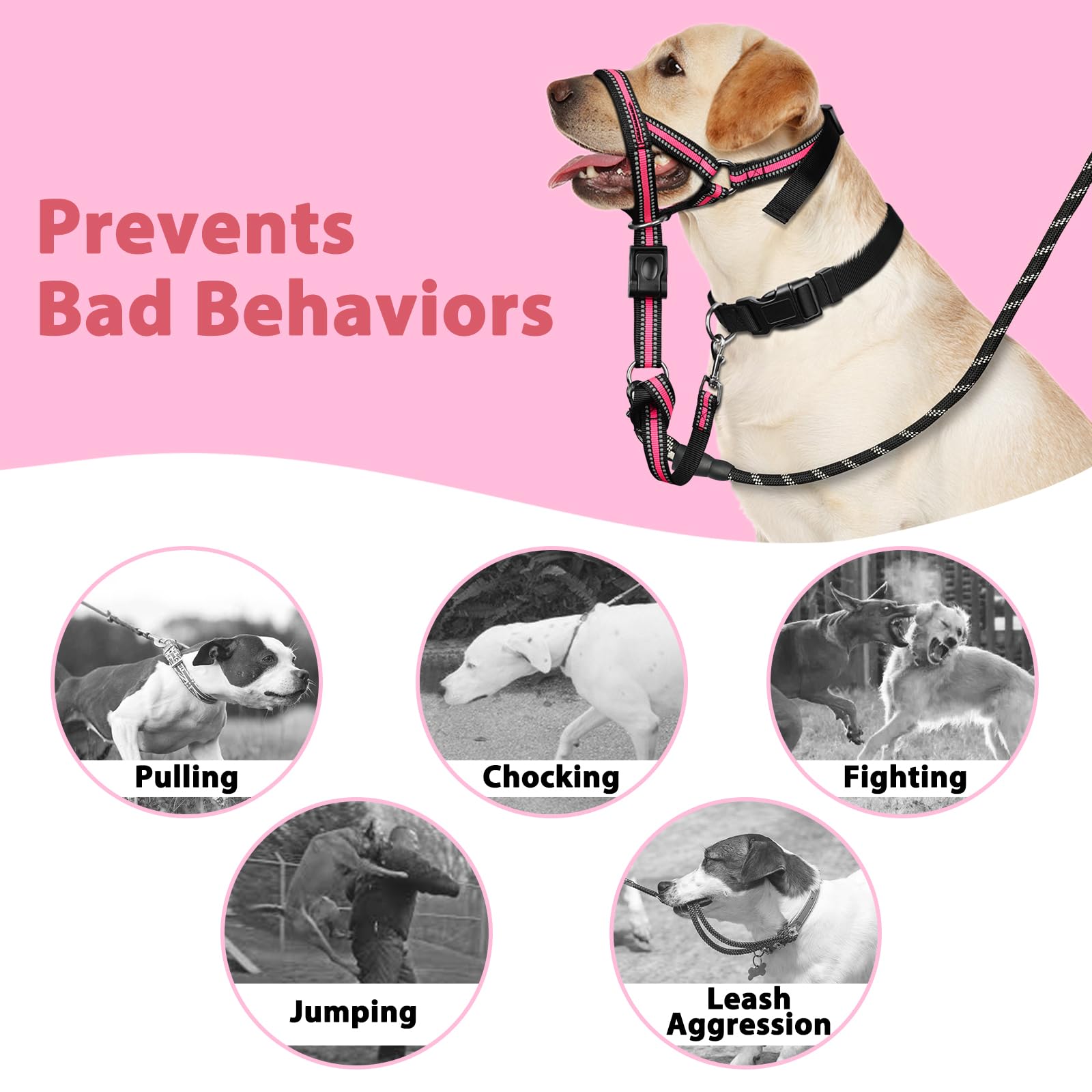 BARKLESS harnais en usage lors d'une promenade pour meilleur contrôle sans douleur