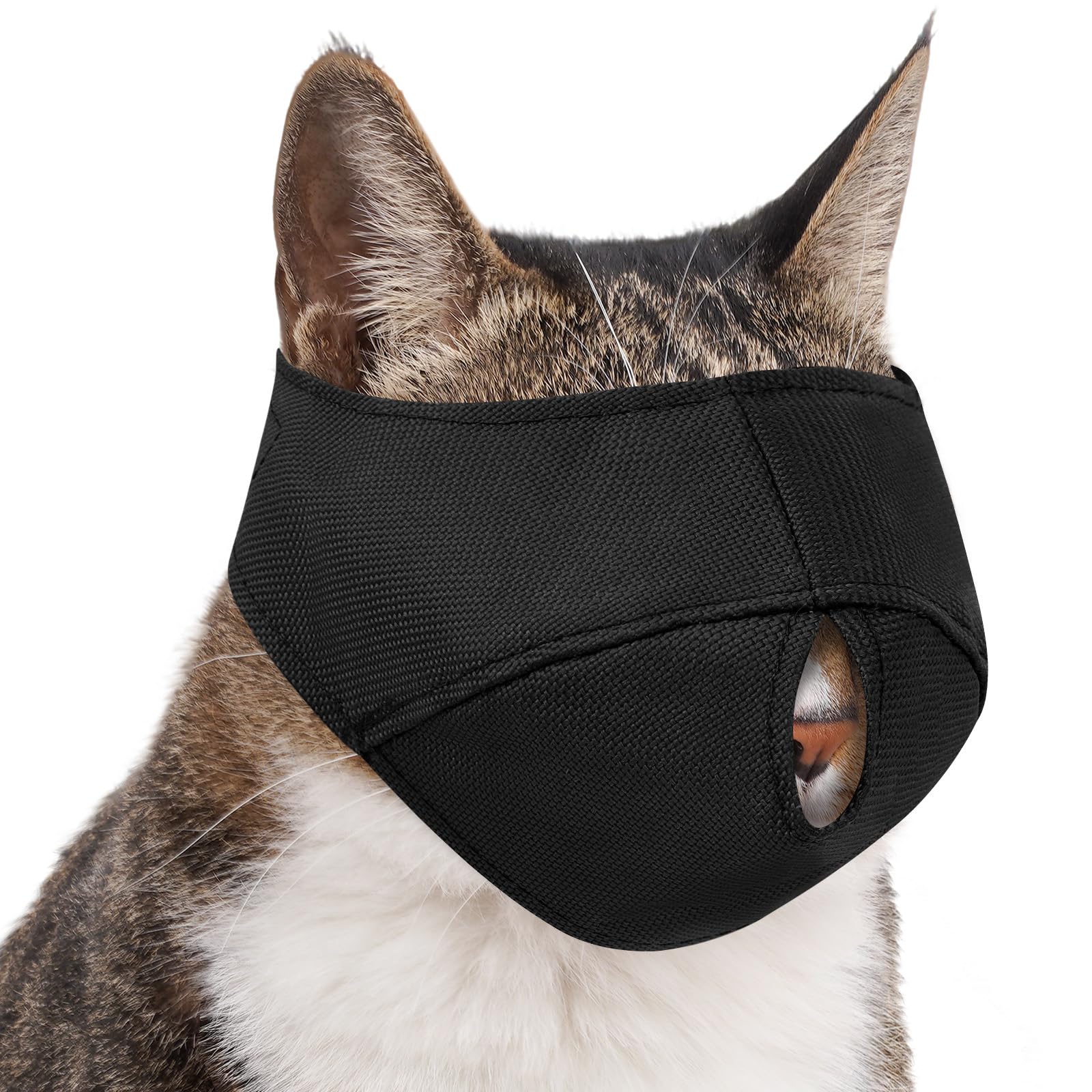 BARKLESS vue avant du couvre-tête montrant la protection intégrale et sécurité
