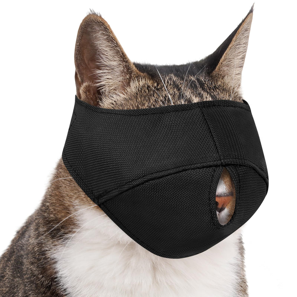 BARKLESS vue avant du couvre-tête montrant la protection intégrale et sécurité