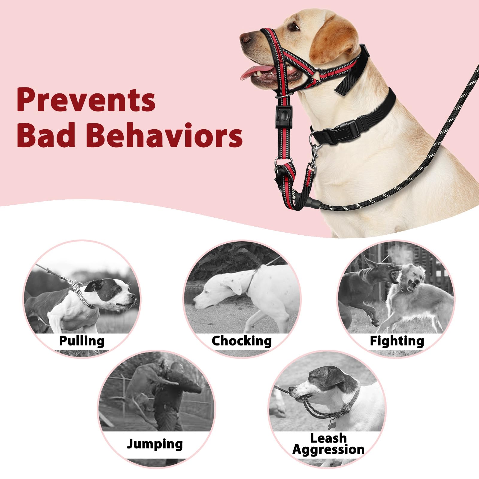 BARKLESS comparaison tailles montrant ajustement pour taille L