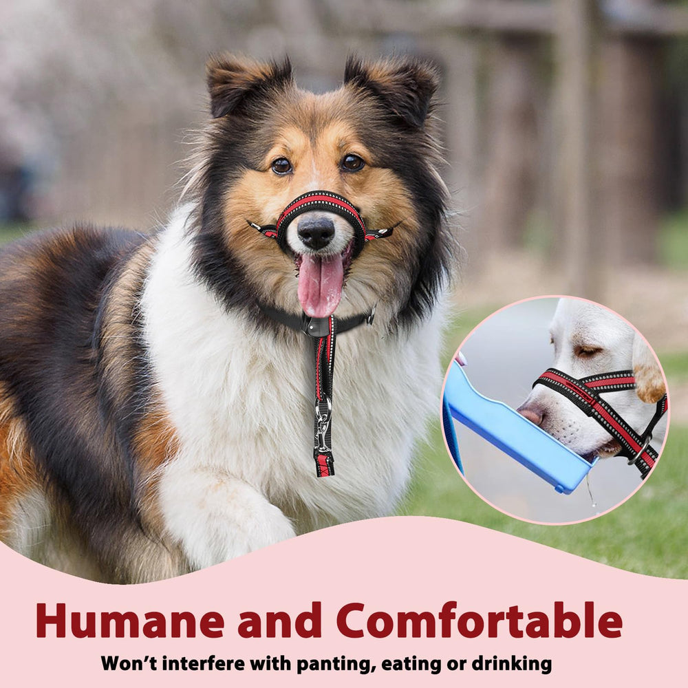 BARKLESS matériaux et coutures renforcées pour durabilité prolongée