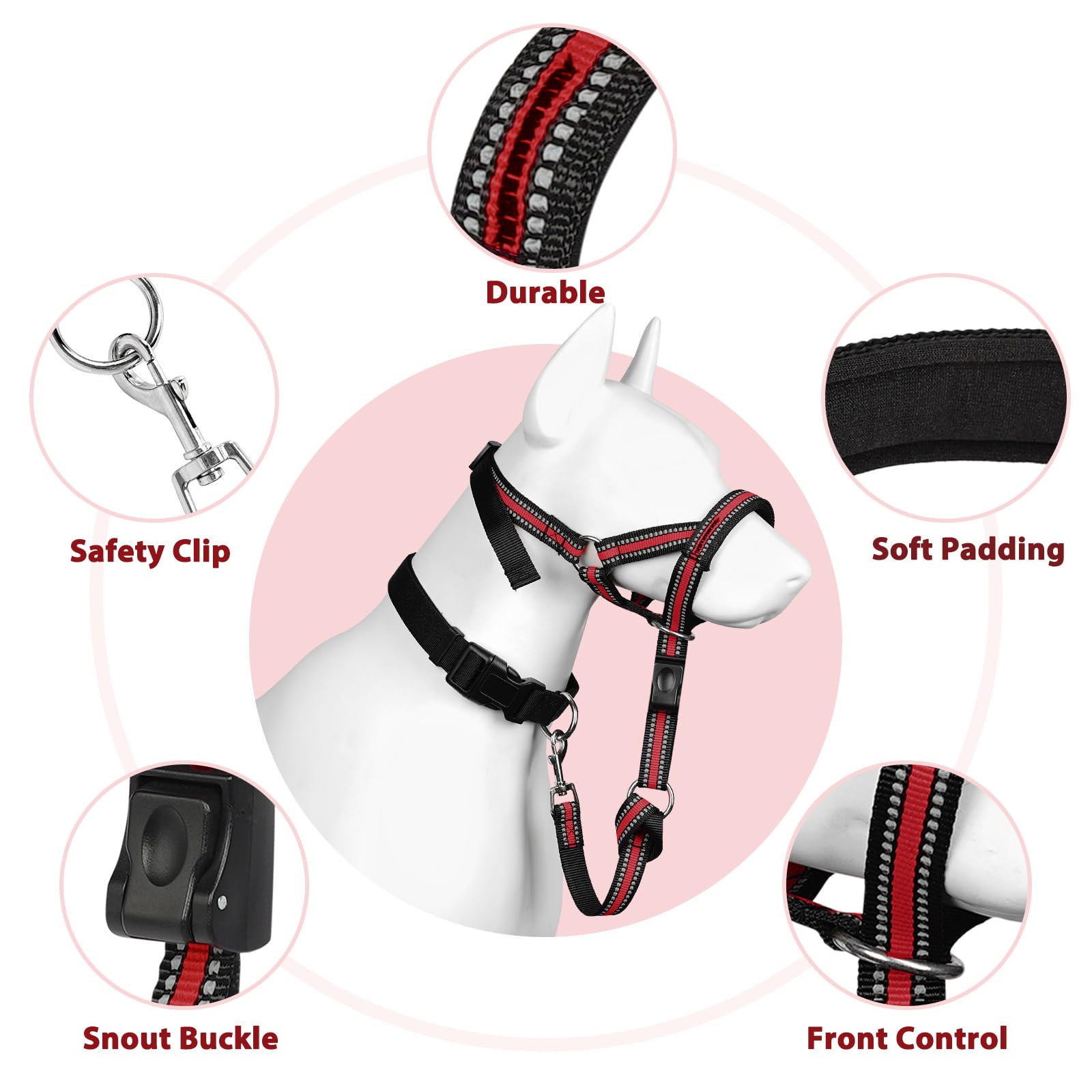 BARKLESS rangement avec guide et accessoires pour transport pratique