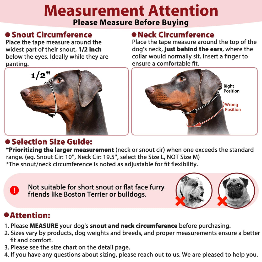 BARKLESS sangle réglable et clip rapide pour un ajustement sécurisé