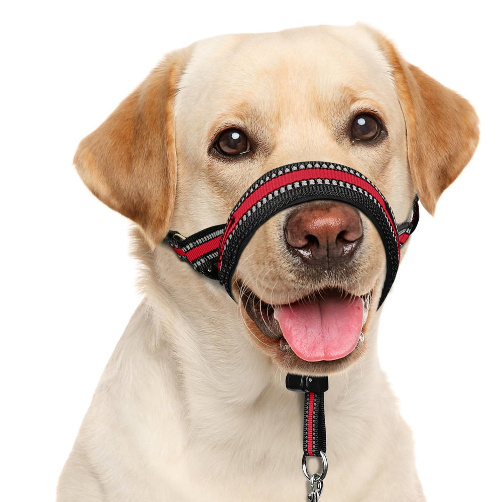 BARKLESS harnais tête face avant montrant un bon maintien et confort