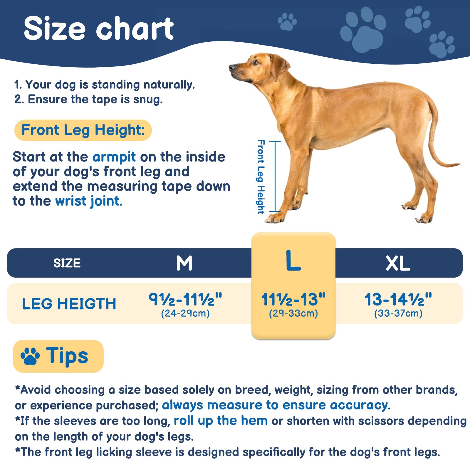 BARKLESS comparaison taille montrant ajustement pour patte avant idéal
