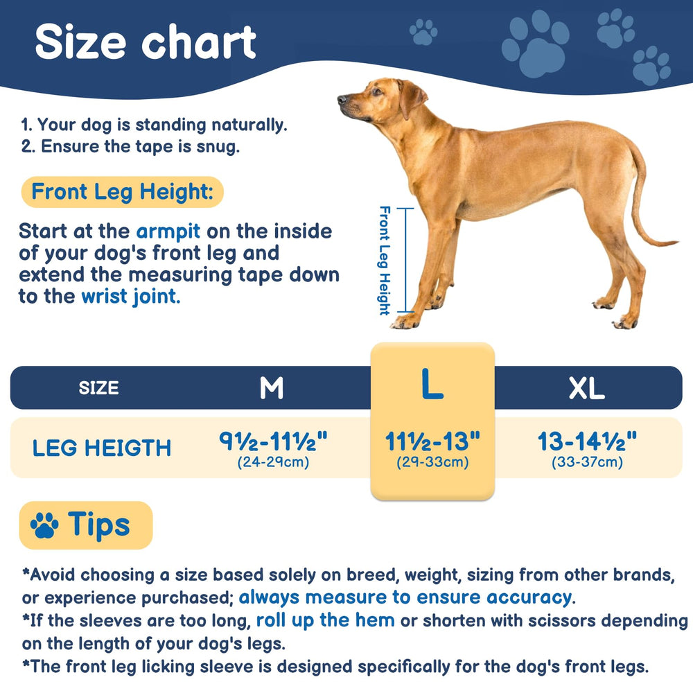 BARKLESS comparaison taille montrant ajustement pour patte avant idéal