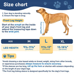 BARKLESS comparaison taille montrant ajustement pour patte avant idéal